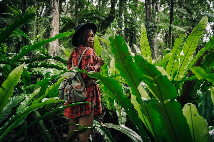 Verdwaalt in de studiekeuze-jungle - website header 1076x715