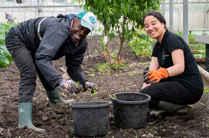 de-kracht-van-betekenisvol-werk-ergo-hva-1076x715