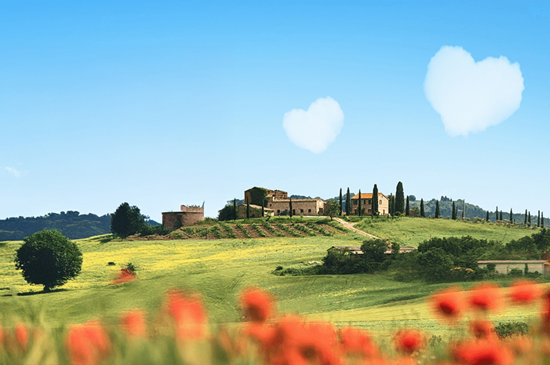 Welke studie past bij jou volgens B&B Vol Liefde?