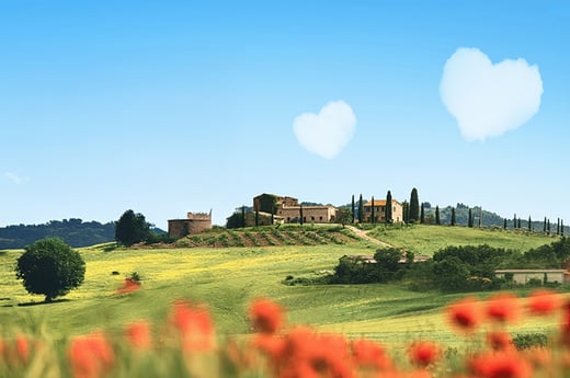 Welke studie past bij jou volgens B&B Vol Liefde?