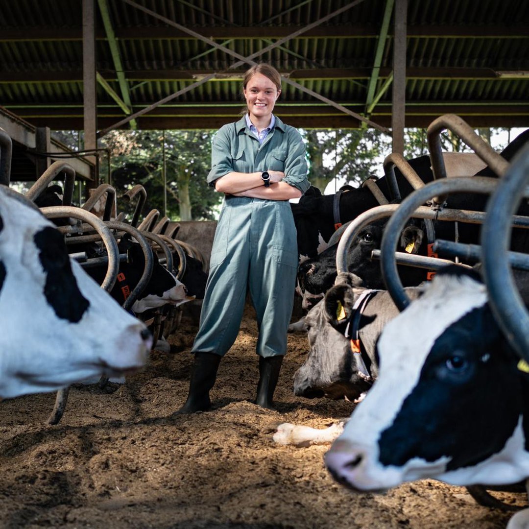 Dag van de Dierenarts: 
