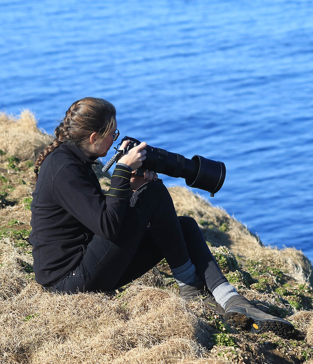foto maken van papegaaiduikers in IJsland