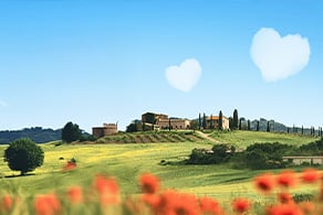 Welke studie past bij jou volgens B&B Vol Liefde?