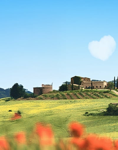 Welke studie past bij jou volgens B&B Vol Liefde?